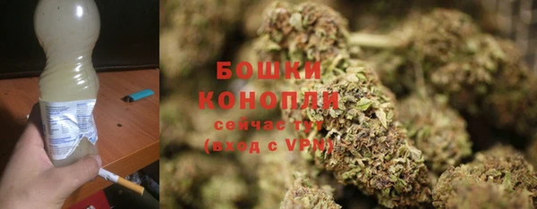 метадон Новодвинск