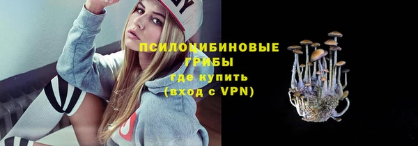 прущая мука Няндома