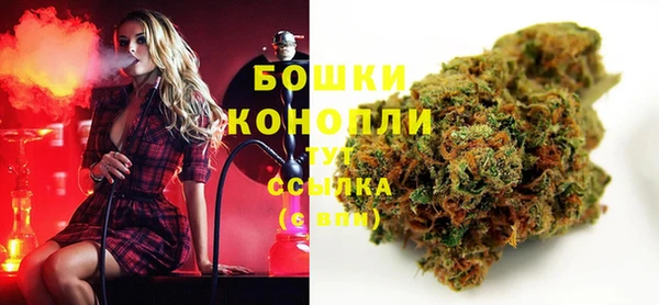 прущая мука Няндома