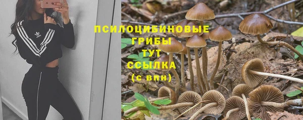 метадон Новодвинск