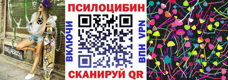 Псилоцибиновые грибы Cubensis  цены наркотик  Навашино 